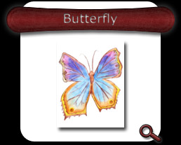 Buy Butterfly Note Card