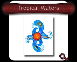 Buy Tropical Waters Note Card