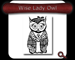 Wise Lady Owl Note Card
