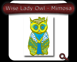 Wise Lady Owl - Mimosa Note Card